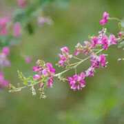 ゆか おはようございます。 出会い系人妻ネットワーク 渋谷〜目黒編