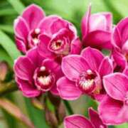 ゆか おはようございます。 出会い系人妻ネットワーク 渋谷〜目黒編