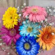 ヒメ日記 2025/07/24 01:57 投稿 メグ セクシーキャット 小田原店