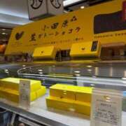 ヒメ日記 2025/09/09 21:02 投稿 メグ セクシーキャット 小田原店