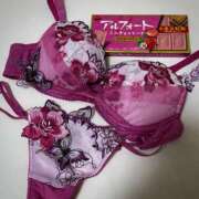 ヒメ日記 2025/09/20 00:36 投稿 メグ セクシーキャット 小田原店