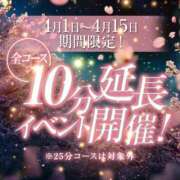 ヒメ日記 2026/04/03 13:20 投稿 メグ セクシーキャット 小田原店