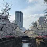 ヒメ日記 2025/04/28 13:56 投稿 後藤みき 月の真珠-五反田-