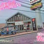 ヒメ日記 2025/05/27 12:04 投稿 ねる 茨城神栖ちゃんこ