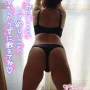 ヒメ日記 2025/07/13 07:43 投稿 ねる 茨城神栖ちゃんこ