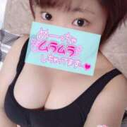 ヒメ日記 2025/08/09 10:01 投稿 ねる 茨城神栖ちゃんこ