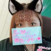 ヒメ日記 2025/08/22 15:06 投稿 ねる 茨城神栖ちゃんこ