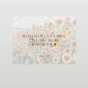 ヒメ日記 2025/08/11 10:23 投稿 咲良 VIP