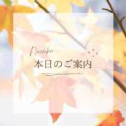 ヒメ日記 2025/11/22 10:33 投稿 咲良 VIP