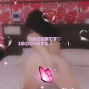 ヒメ日記 2026/02/06 15:44 投稿 りあら スピード梅田店