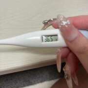 ヒメ日記 2025/05/20 14:54 投稿 杉咲　ましろ つくば風俗エキスプレス   ヌキ坂46