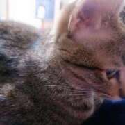 ヒメ日記 2025/05/12 07:05 投稿 七海　ゆうは ギン妻パラダイス 谷九店