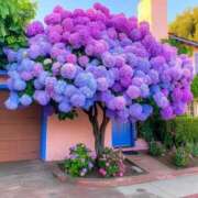 ヒメ日記 2025/06/07 15:52 投稿 七海　ゆうは ギン妻パラダイス 谷九店