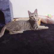 ヒメ日記 2025/06/27 10:06 投稿 七海　ゆうは ギン妻パラダイス 谷九店