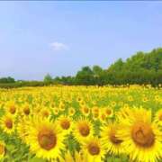 ヒメ日記 2025/07/29 13:31 投稿 七海　ゆうは ギン妻パラダイス 谷九店