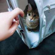 ヒメ日記 2025/08/24 22:36 投稿 七海　ゆうは ギン妻パラダイス 谷九店