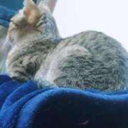 ヒメ日記 2025/08/27 09:43 投稿 七海　ゆうは ギン妻パラダイス 谷九店