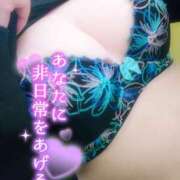 ヒメ日記 2025/10/14 16:01 投稿 七海　ゆうは ギン妻パラダイス 谷九店