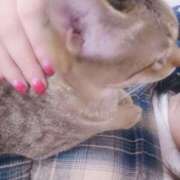 ヒメ日記 2025/10/20 13:49 投稿 七海　ゆうは ギン妻パラダイス 谷九店