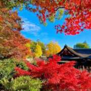 ヒメ日記 2025/11/18 10:12 投稿 七海　ゆうは ギン妻パラダイス 谷九店