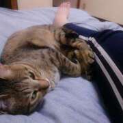 ヒメ日記 2025/11/24 16:36 投稿 七海　ゆうは ギン妻パラダイス 谷九店