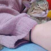 ヒメ日記 2025/12/03 09:49 投稿 七海　ゆうは ギン妻パラダイス 谷九店