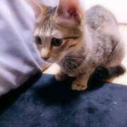 ヒメ日記 2025/12/04 22:56 投稿 七海　ゆうは ギン妻パラダイス 谷九店