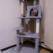 ヒメ日記 2025/12/09 09:37 投稿 七海　ゆうは ギン妻パラダイス 谷九店