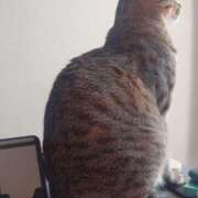 ヒメ日記 2025/12/10 09:44 投稿 七海　ゆうは ギン妻パラダイス 谷九店