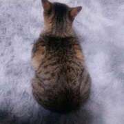 ヒメ日記 2025/12/18 05:28 投稿 七海　ゆうは ギン妻パラダイス 谷九店