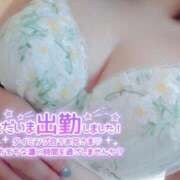 ヒメ日記 2026/01/27 16:01 投稿 七海　ゆうは ギン妻パラダイス 谷九店