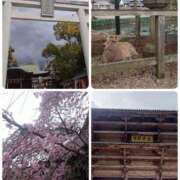 ヒメ日記 2026/04/02 22:28 投稿 七海　ゆうは ギン妻パラダイス 谷九店