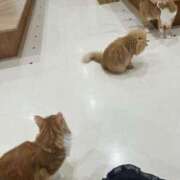 ヒメ日記 2025/05/08 09:52 投稿 りる☆ 豊橋豊川ちゃんこ