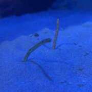 ヒメ日記 2025/05/08 17:22 投稿 りる☆ 豊橋豊川ちゃんこ