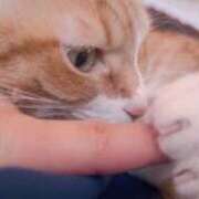 ヒメ日記 2025/05/16 18:42 投稿 りる☆ 豊橋豊川ちゃんこ