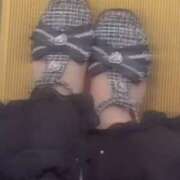 ヒメ日記 2025/05/31 17:35 投稿 りる☆ 豊橋豊川ちゃんこ