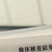 ヒメ日記 2025/08/10 12:03 投稿 りる☆ 豊橋豊川ちゃんこ