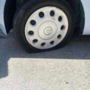 ヒメ日記 2025/10/06 11:02 投稿 りる☆ 豊橋豊川ちゃんこ