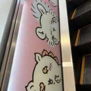 ヒメ日記 2025/11/06 09:22 投稿 りる☆ 豊橋豊川ちゃんこ