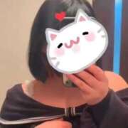 ヒメ日記 2025/11/19 08:02 投稿 りる☆ 豊橋豊川ちゃんこ