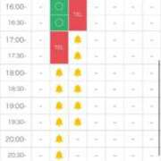 ヒメ日記 2026/02/11 11:32 投稿 りる☆ 豊橋豊川ちゃんこ