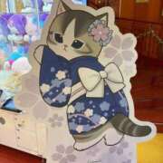 ヒメ日記 2026/03/11 18:32 投稿 りる☆ 豊橋豊川ちゃんこ