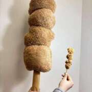 ヒメ日記 2026/03/24 00:32 投稿 りる☆ 豊橋豊川ちゃんこ