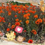 ヒメ日記 2025/06/21 06:39 投稿 夏乃 ひまり ハレ系 放課後クラブ