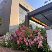 ヒメ日記 2025/06/27 18:20 投稿 夏乃 ひまり ハレ系 放課後クラブ