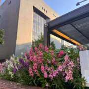 ヒメ日記 2025/07/31 09:34 投稿 夏乃 ひまり ハレ系 放課後クラブ