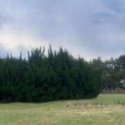 ヒメ日記 2025/08/15 00:10 投稿 夏乃 ひまり ハレ系 放課後クラブ