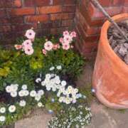 ヒメ日記 2025/08/27 22:42 投稿 夏乃 ひまり ハレ系 放課後クラブ