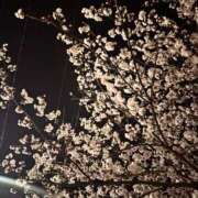 ヒメ日記 2025/09/27 09:47 投稿 夏乃 ひまり ハレ系 放課後クラブ