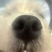 ヒメ日記 2025/10/24 18:12 投稿 夏乃 ひまり ハレ系 放課後クラブ